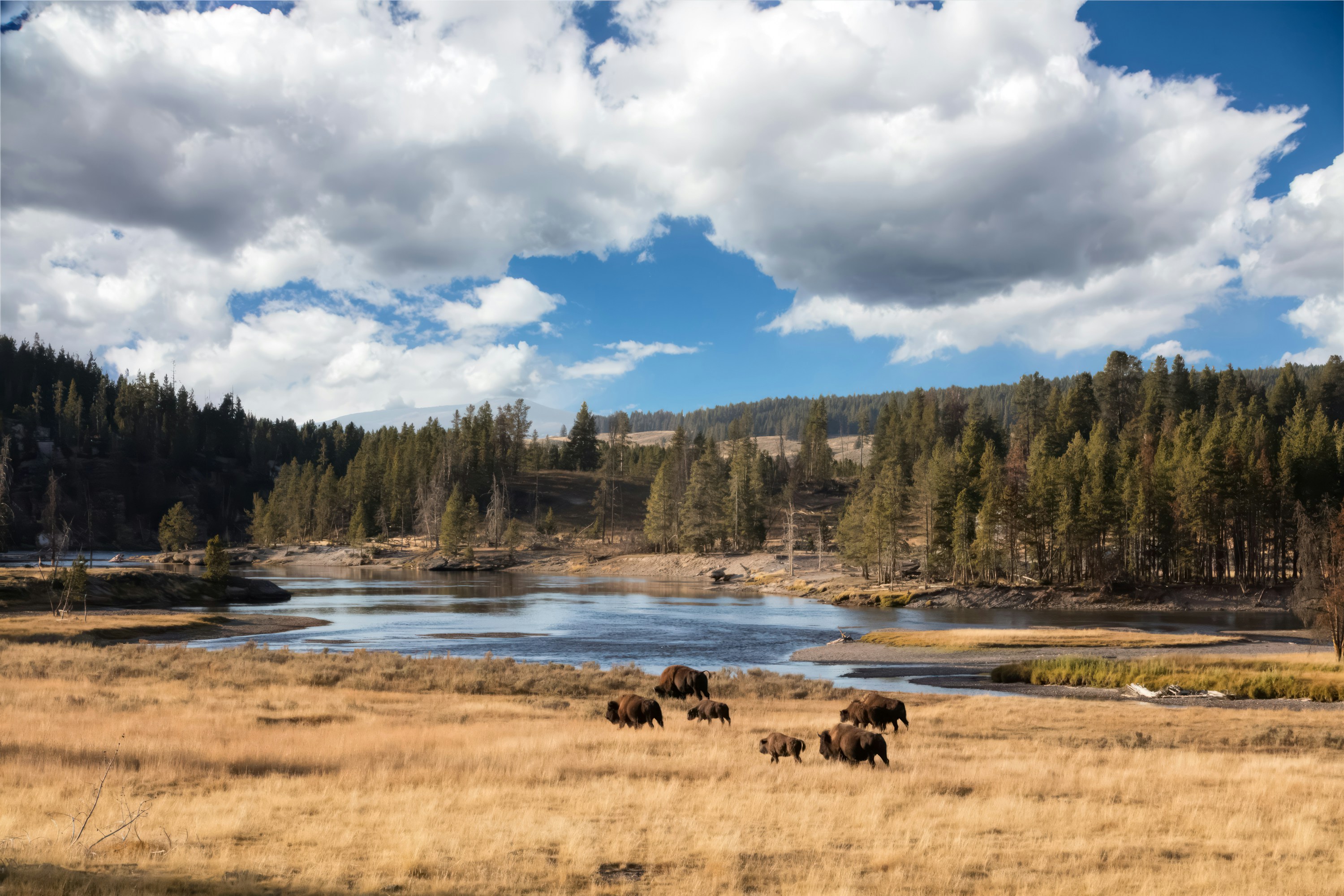 ParkLens - National Park Photography Community & Conservation